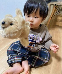 photo⑥♩¨̮ | ワンちゃんイジめる…本物は近づけたらダメだな( ̄▽ ̄;)(ソックス/靴下)