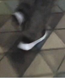 adidas | スニーカー