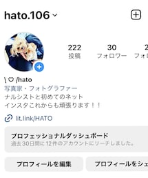 🕊hatoの写真集🕊 | その他