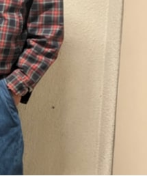 Lakeland | ジャケット/アウター