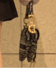 Christian Dior | バッグ