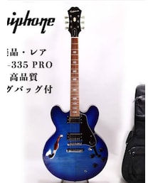 epiphone | その他