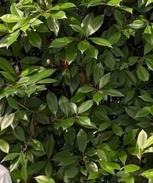 instagramも🙇 | その他