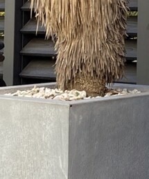 UNIQLO | アンダーウェア