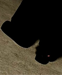 Supreme×NIKE | スニーカー