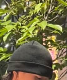 no brand | ニットキャップ/ビーニー