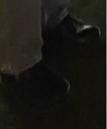 Dr. Martens | ブーツ