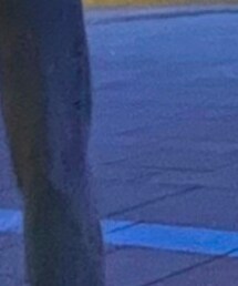 Levi's | デニムパンツ