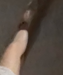 YELLO | ソックス/靴下