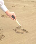 スポンジハケの「その他(その他)」