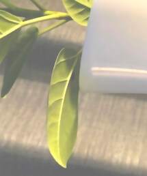 アルテシマ | インテリア雑貨