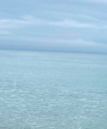 WEGO | ソックス/靴下