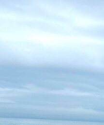 17kg | Tシャツ/カットソー