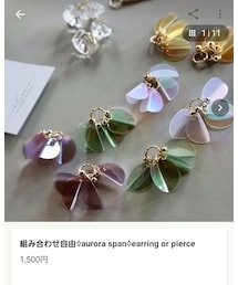 iCoro𓂃 handmade accessory | ピアス（両耳用）
