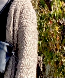 LBC | カーディガン/ボレロ