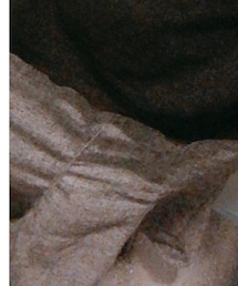 tal. by yumi. | スカート