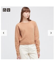 UNIQLO | プレミアムラムクロップドセーター(ニット/セーター)