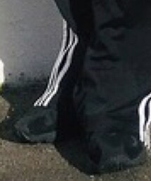 adidas | スニーカー