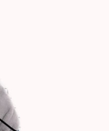 ダイソー | チャーム