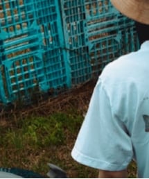 patagonia | Tシャツ/カットソー