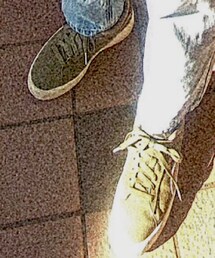 PUMA | スニーカー