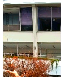 Arnold Palmer | ハット