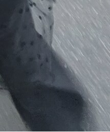 Munich | パンツ