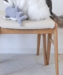 3coins | ペット用おもちゃ