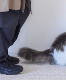 UNIQLO | その他パンツ