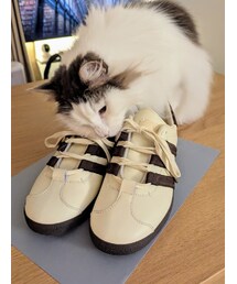 adidas Originals | adidasとFoot Industry のコラボ(スニーカー)