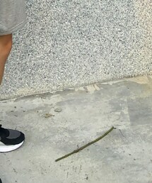 PUMA | レッグウェア