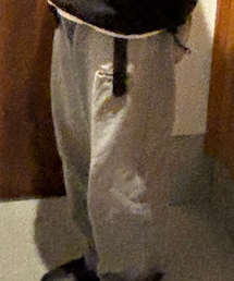 Dickies | その他パンツ