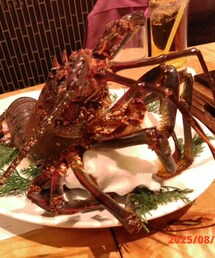 伊勢海老🦞 | 食器