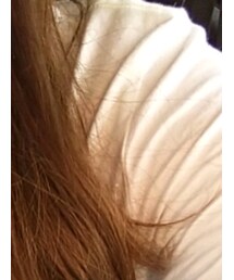 Bershka | Tシャツ/カットソー