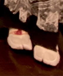 Nike Rift | シューズ