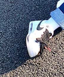 NIKE | スニーカー