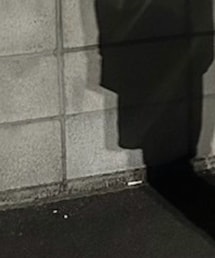 WEGO | レッグウォーマー