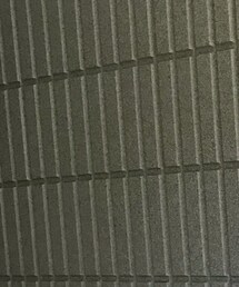 NAUTICA | Tシャツ/カットソー