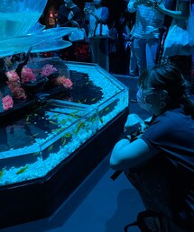 激写される母🤣 | その他