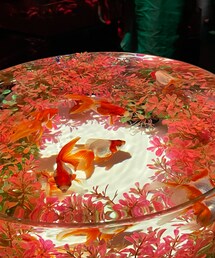 金魚さん | その他