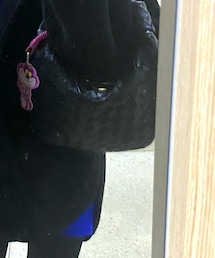 BOTTEGA VENETA | トートバッグ
