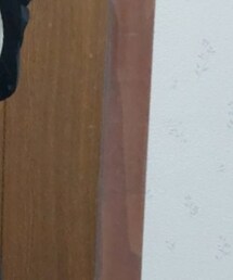 PORTER | バックパック/リュック