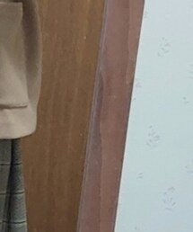 Te chichi | スカート