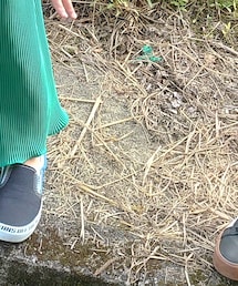 VANS | スリッポン