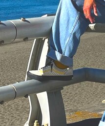 VANS | スニーカー