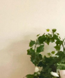 SHIEN | インテリア雑貨