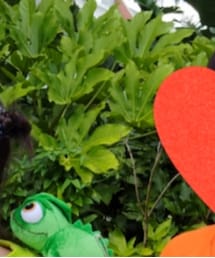 パスカル | ファッション雑貨