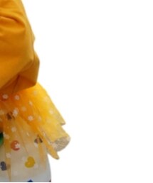 Birthday | スカート