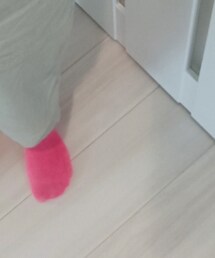 ファミリーマート | レッグウェア