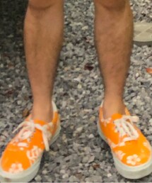 VANS | スニーカー